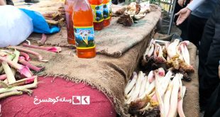 جشواره ریواس ریوش