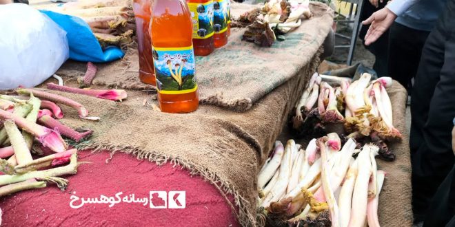 جشواره ریواس ریوش