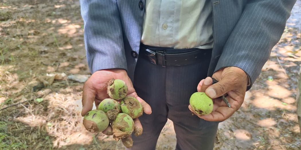خسارت سیل
